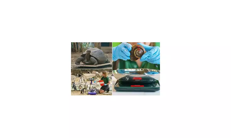 London Zoo's Annual Weigh-In Reveals Giant Galapagos Tortoise and Capybara Crowned Largest Residents