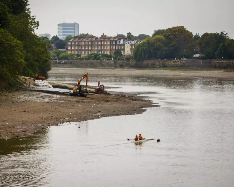 London's 'Wet Wipe Island': How Plastic Pollution is Choking the Thames Near Hammersmith Bridge