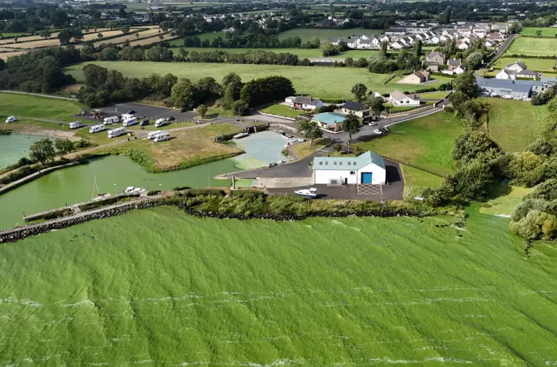 Lough Neagh in Peril: UK's Largest Lake Faces Ecological Collapse as Rescue Plans Stall