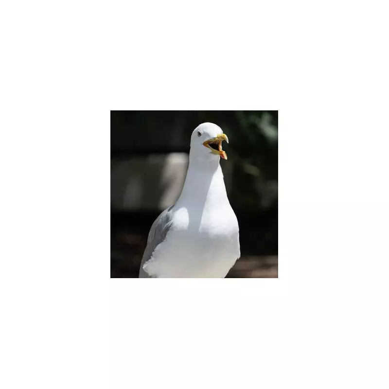 Lucky Brit Mum's Life Transformed After Stunning £1 Million EuroMillions Win