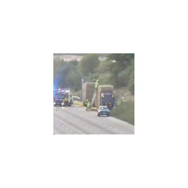 M25 Chaos: Five-Mile Tailbacks as Emergency Repairs Trigger Third Full Closure in History