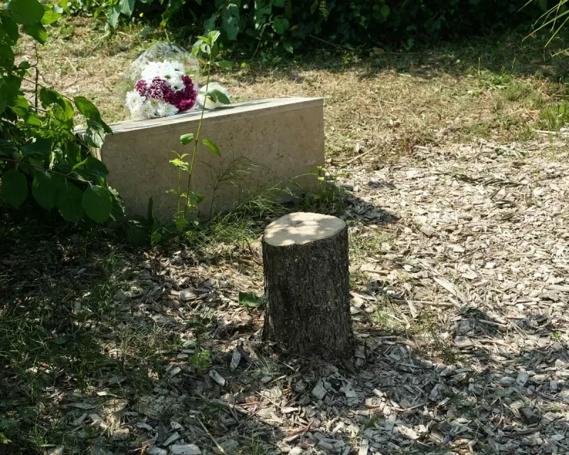 Macron Condemns Antisemitic Attack as Memorial Tree is Vandalised