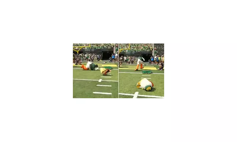 Mascot Mayhem: Westminster College Football Mascot's Head Tumbles Off in Spectacular Sideline Fail