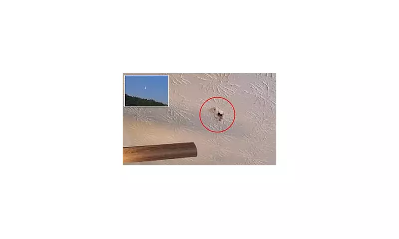 Meteorite Crashes Through Georgia Home: A Stellar Discovery in Suburban Neighbourhood