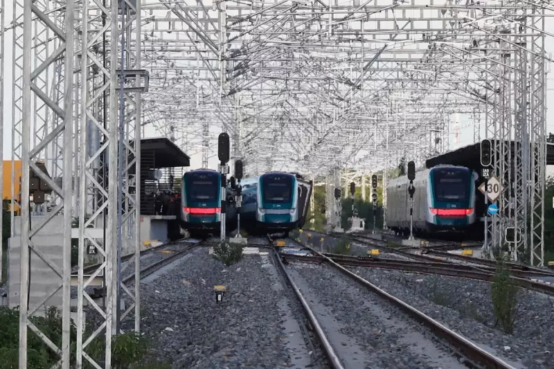 Mexico's Caribbean Coast Braces for Unprecedented Seaweed Onslaught: Scientists Warn of Worst Sargassum Surge in History