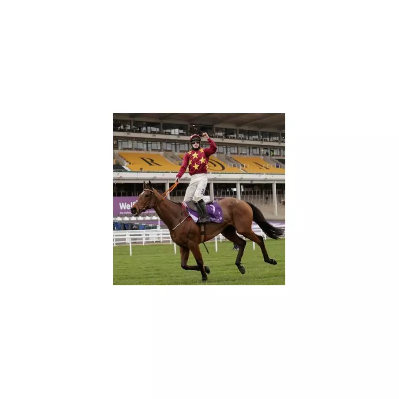 Minella Indo Triumphs at Cheltenham Festival: A Stunning Victory for Rachael Blackmore