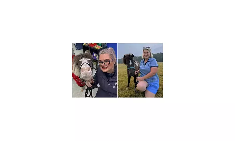 Miniature Therapy Horses Bring Solace and Voices to Terminally Ill Children in UK Hospices