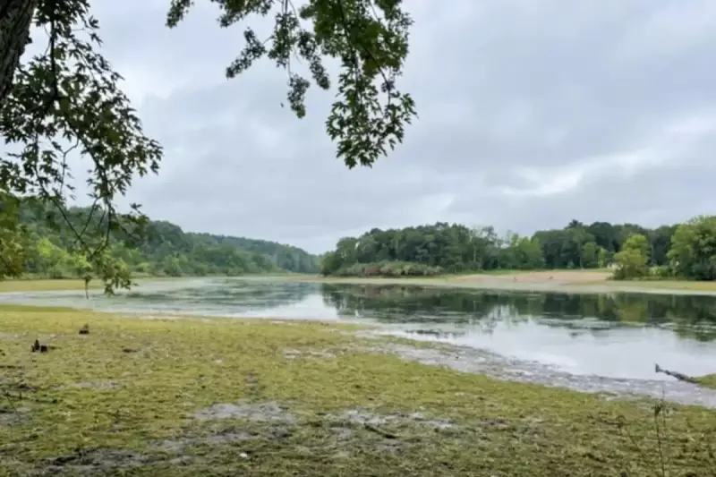 Minnesota's Lake Alice Revival: A Triumph of Conservation Efforts