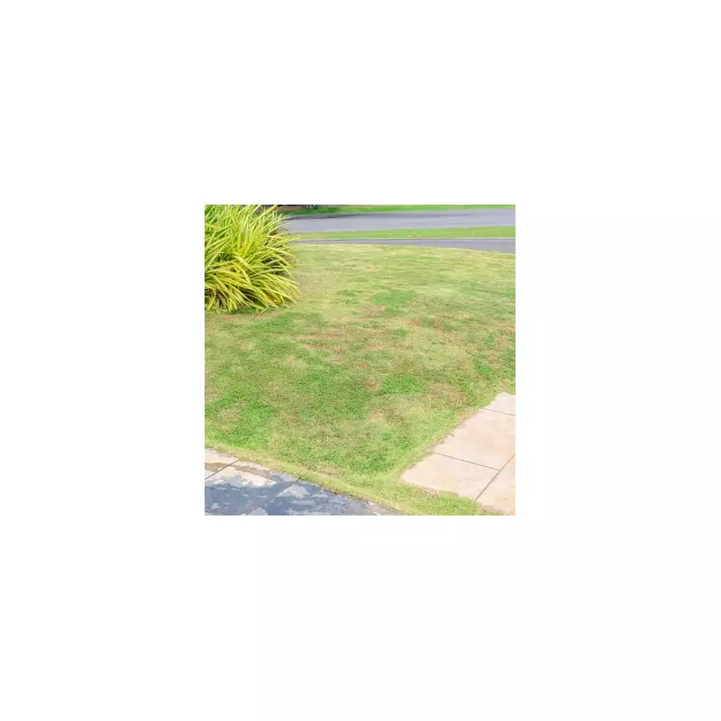 Monty Don's Essential Gardening Tip: This One Job in February is Absolutely Vital for Your Borders