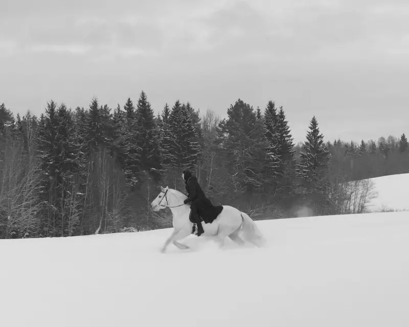Mother Vera Review: A Heart-Wrenching Masterpiece of Maternal Fortitude