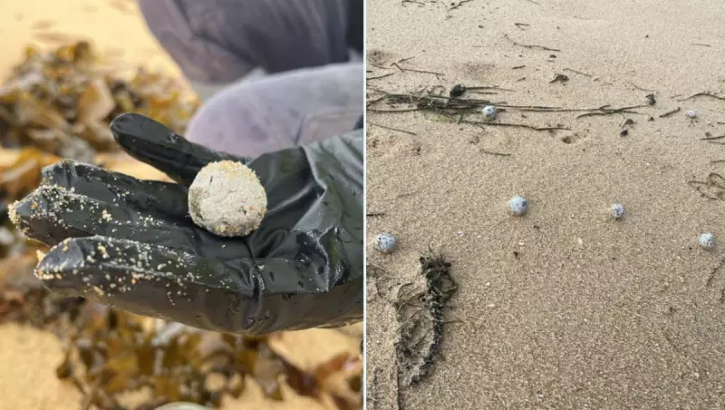 Mysterious 'Debris Balls' Invade NSW Central Coast Beaches: Environmental Alert