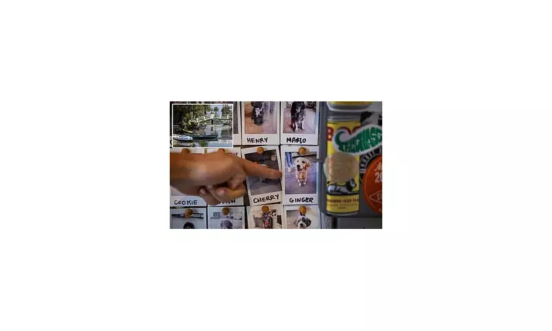 Mystery Illness Strikes Dogs in Venice Canals: Pet Owners Warned as Investigation Launches