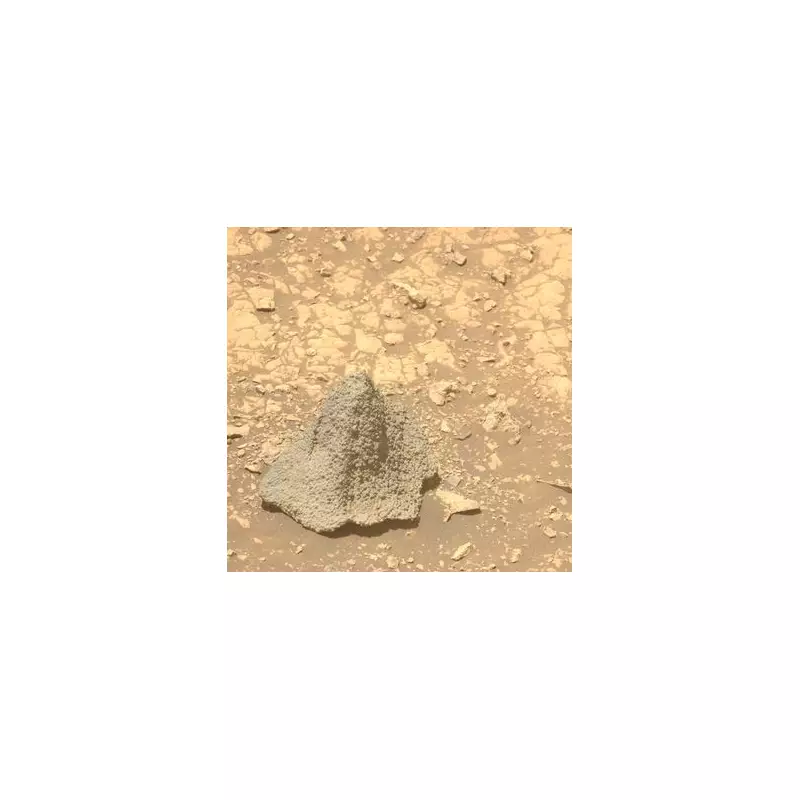 NASA's Curiosity Rover Spots Bizarre Bone-Like Object on Mars – What Is It?