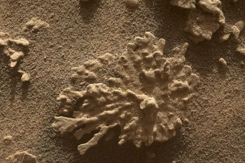 NASA's Curiosity Rover Uncovers Stunning New Evidence of Ancient Water on Mars