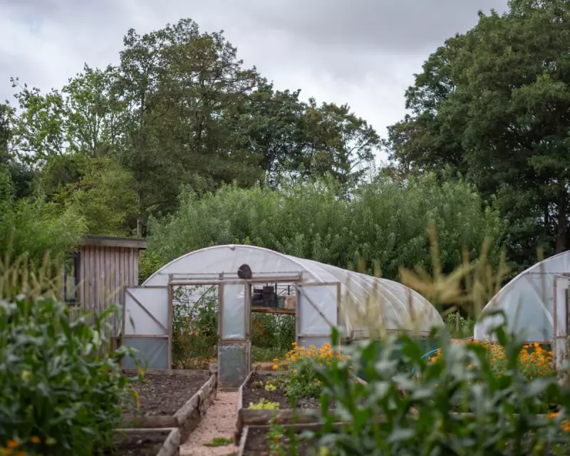 Nature, Respect & Work: The UK's Radical New Blueprint to Slash Prison Reoffending