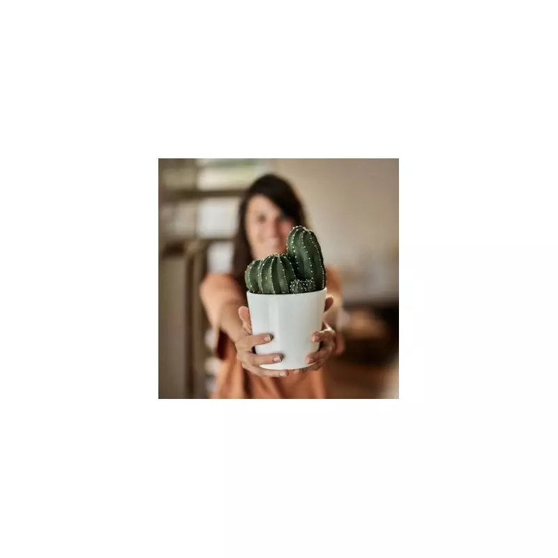 Neighbour's Wi-Fi War: Woman Told to Stop Using Internet at Night