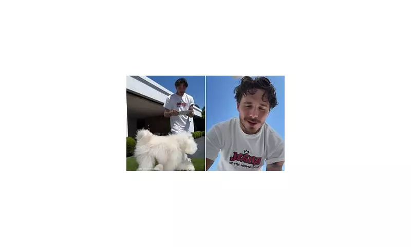 Nicola Peltz & Brooklyn Beckham's Cryptic Video Sparks Family Feud Rumours | Daily Mail