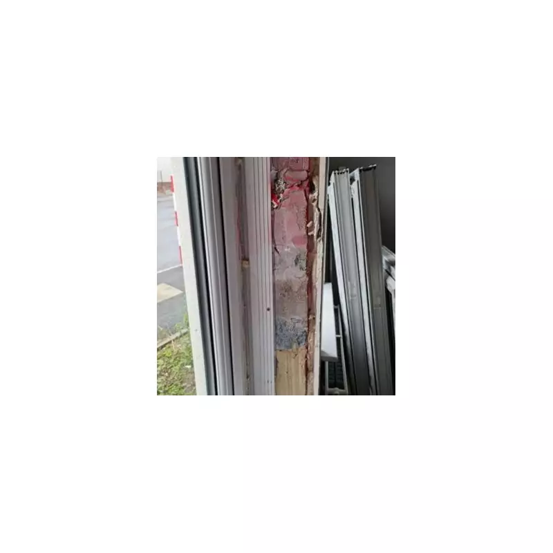 Nightmare on Elm Tree Road: Couple's £275k 'Dream Home' Turns Into Damp, Mouldy Prison