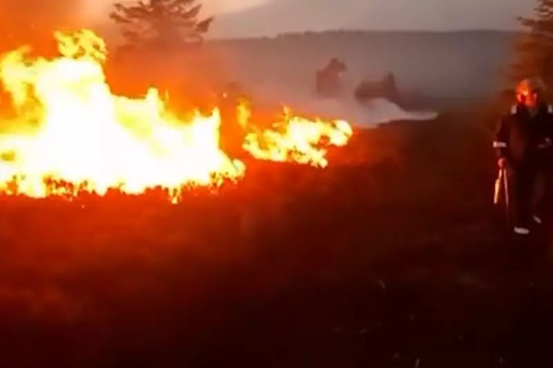 North Yorkshire Moors Blaze: Major Firefighting Operation Tackles Wildfire Near Scarborough
