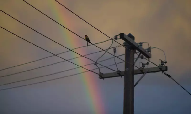 NSW Braces for Severe Flooding as Heavy Rain Warnings Escalate – Sydney Harbour Bridge Protest Adds to Chaos