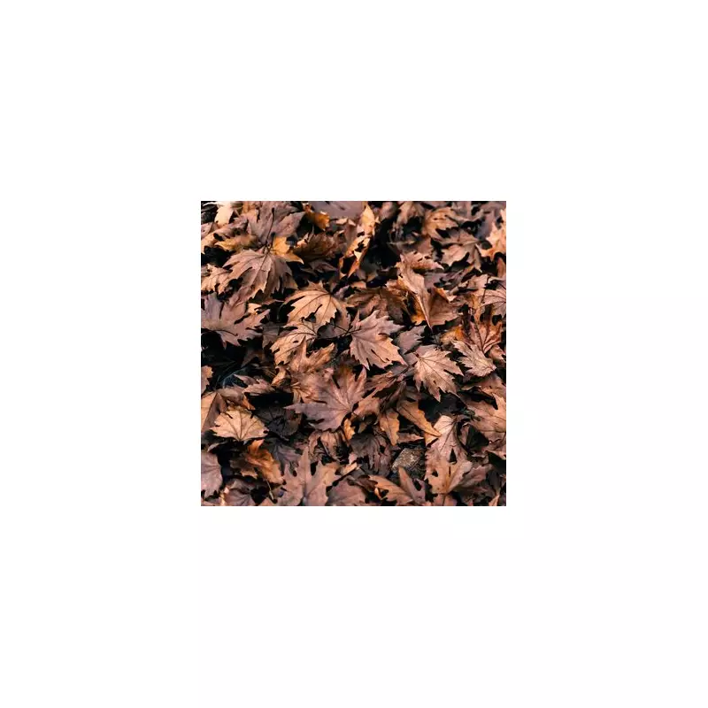 Only Those With Hawk Eyes Can Spot the Hidden Number in This Viral Optical Illusion