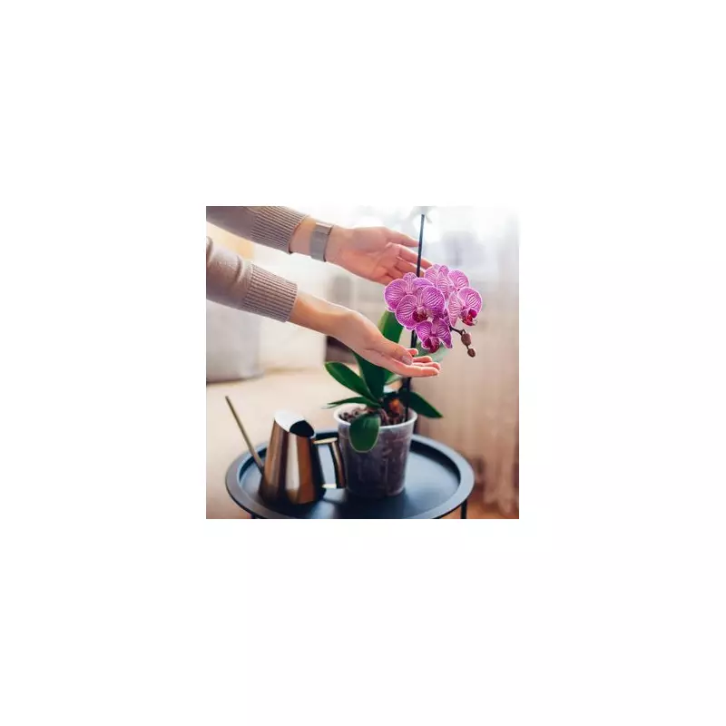 Orchid Care Hack: The One-Ingredient Trick for Stunning Blooms All Year Round