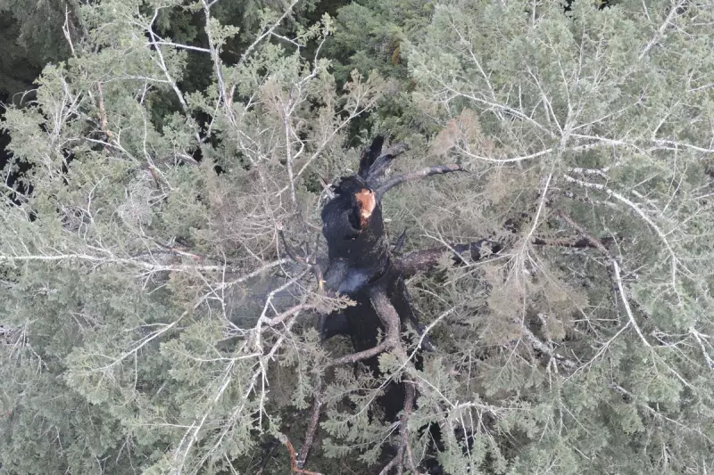 Oregon Land Bureau in Portland Evacuated Amid Bomb Threat | Exclusive Report