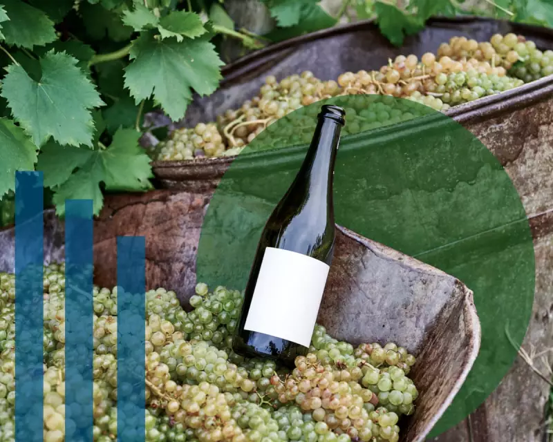 Organic Wine Revolution: How Sustainable Viticulture is Saving the Planet