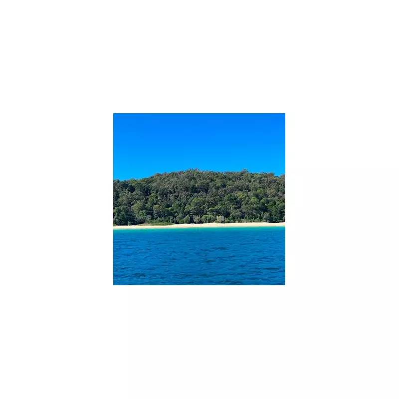 Paradise Lost? I Stayed on the 'Cursed' Island of Niue Where Locals Are Fleeing | Travel Warning