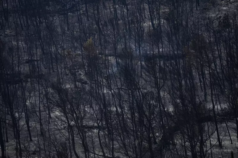 Paris Faces Rising Temperatures: Scientists Warn of Southern Europe-Like Climate by 2100