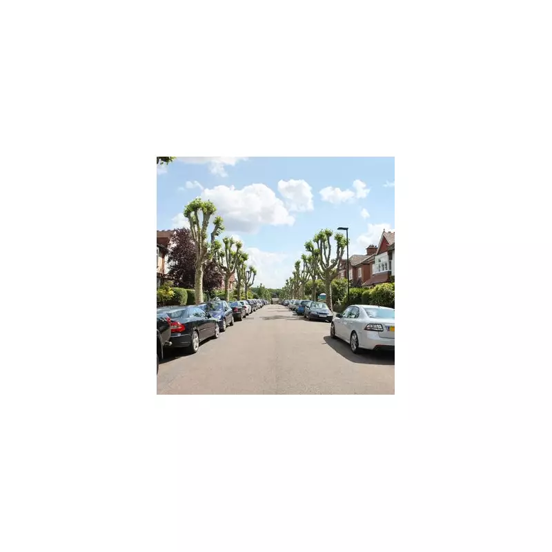 Parking Wars: Neighbour's Driveway Blockade Sparks Fury in Quiet Street