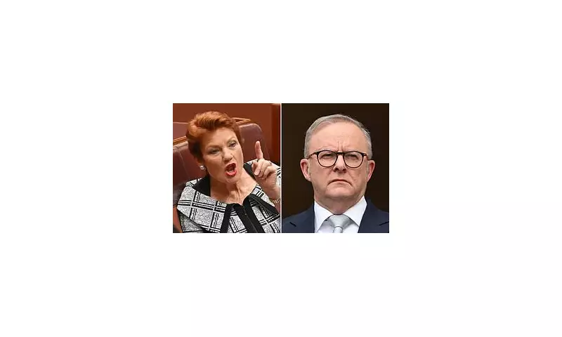 Pauline Hanson's Fiery Clash with Albanese Over Iran Deportation Sparks Senate Uproar | Exclusive