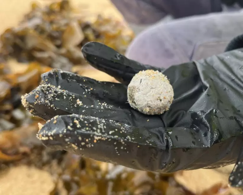 Penny Wong Condemns Netanyahu's Gaza Remarks as Australia-Israel Tensions Escalate | The Guardian