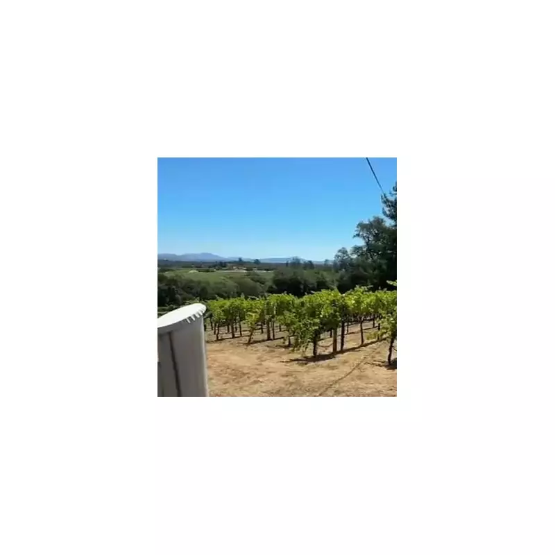 Pensioner's 'Natural' Death Ruled a Murder After Shocking Post-Mortem Revelation