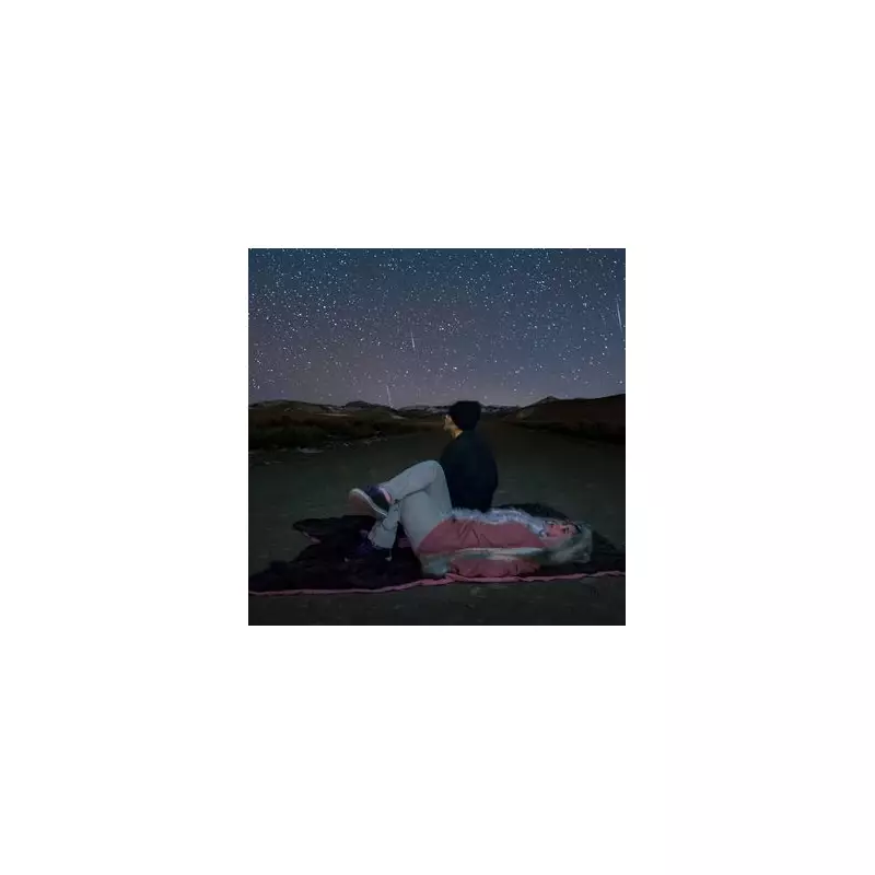 Perseid Meteor Shower 2024: Best Spots & Times to Watch in the UK