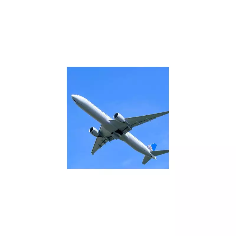 Pilot Reveals the Truth Behind What Happens When You Flush a Plane Toilet Mid-Flight