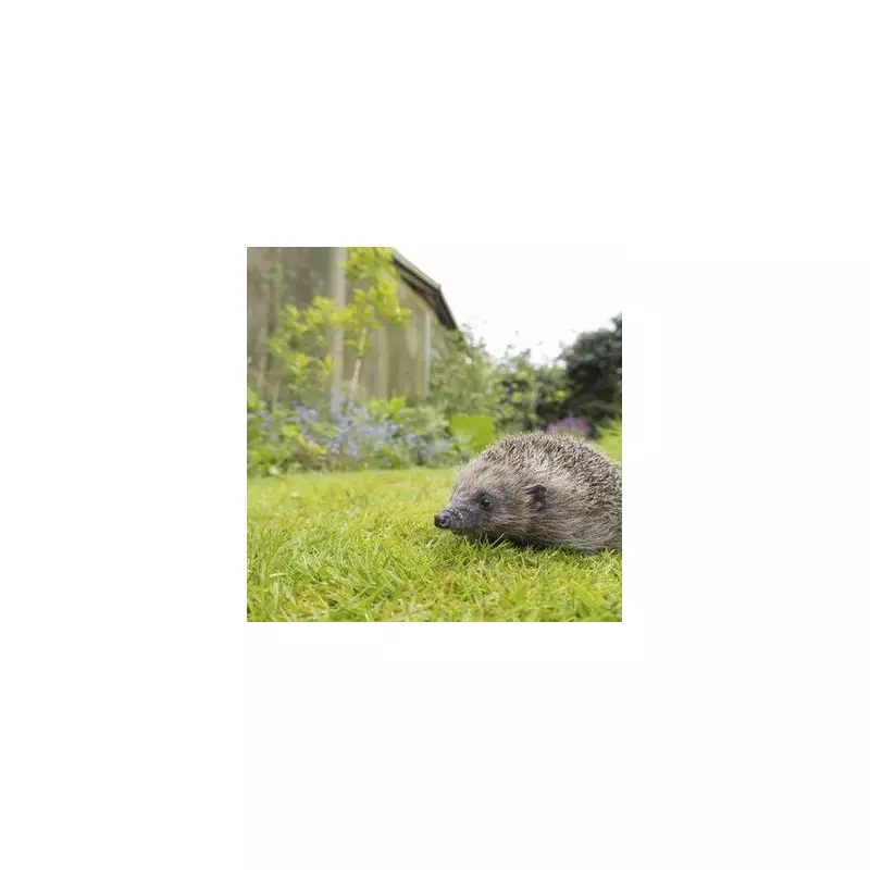 Police Hunt Heartless Thugs Who Set Fire to Beloved Swan and Her Nest in Shocking Animal Cruelty Case