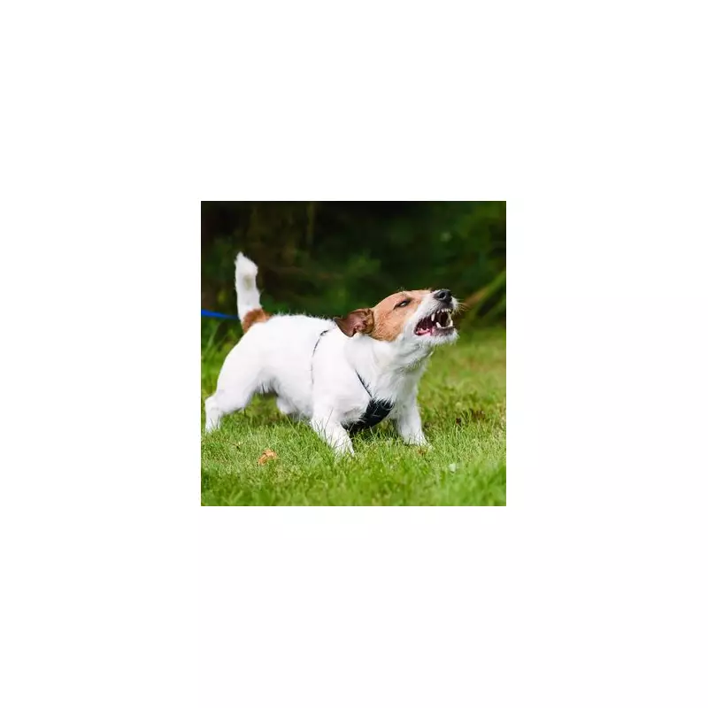 Police Issue Urgent Warning: The One Thing You Must NEVER Do When Pulled Over