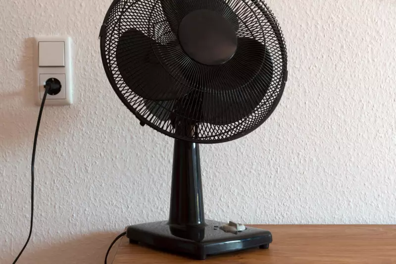 Post-Brexit Border Chaos: Britons Face £5.5bn Bill for EU Paperwork and Delays