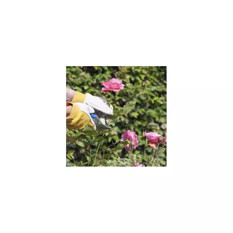 Pruning Power: The 3 Plants You MUST Cut Back in August for a Spectacular Garden