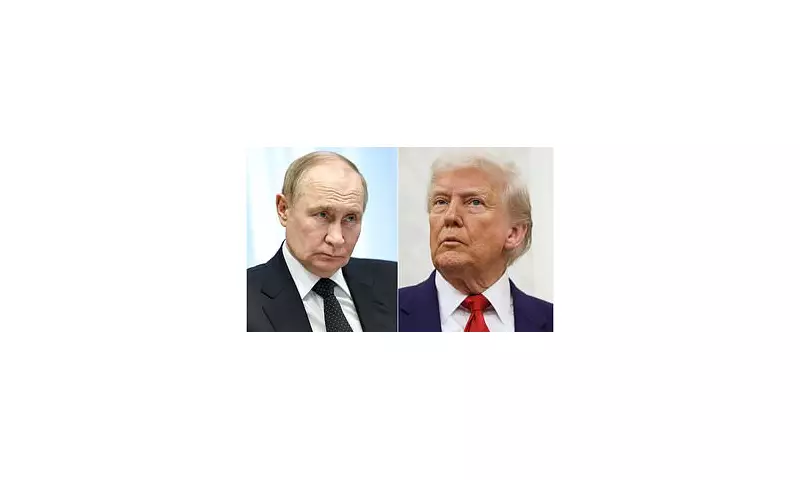 Putin and Trump Could Meet in Alaska for High-Stakes Talks: What's on the Table?