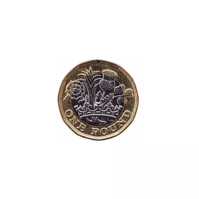 Rare £1 Coin Sells for £4,000 – Could You Have One in Your Pocket?