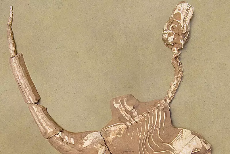 Rare Dinosaur Fossil Reveals Startling Link to Modern Birds