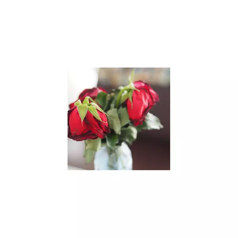 Revive Wilted Roses Instantly with This Genius Gardening Hack