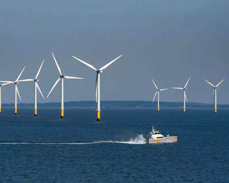 Ørsted Shares Plummet by £9bn Amid Cash Call Crisis – What’s Next for the Wind Energy Giant?