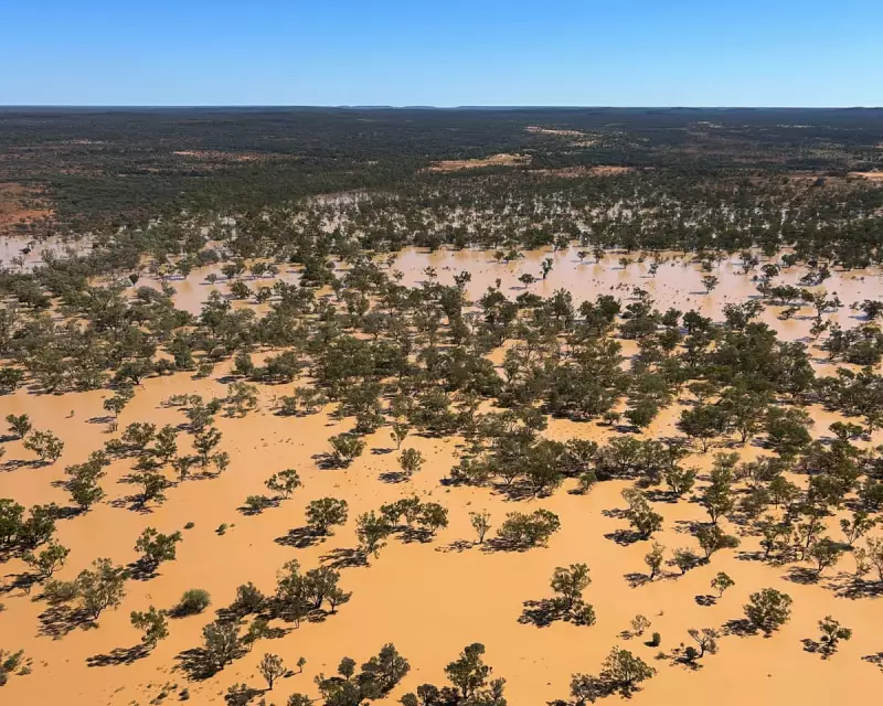 Rural Vets in Australia Struggle as Extreme Weather Worsens: A Crisis Unfolding