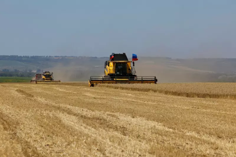 Russia Seizes Ukrainian Wheat Crops in Luhansk: A Blow to Global Food Security