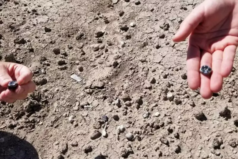 Scientists Unearth Oldest Known Human Ancestor in Groundbreaking Discovery