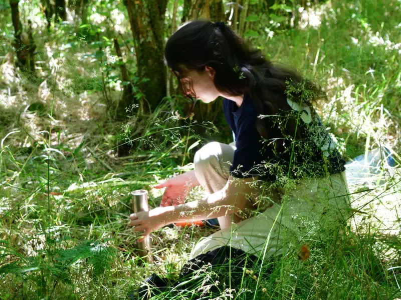 Scientists Unveil Groundbreaking Global Map of Mycorrhizal Fungi to Revolutionise Forest Restoration