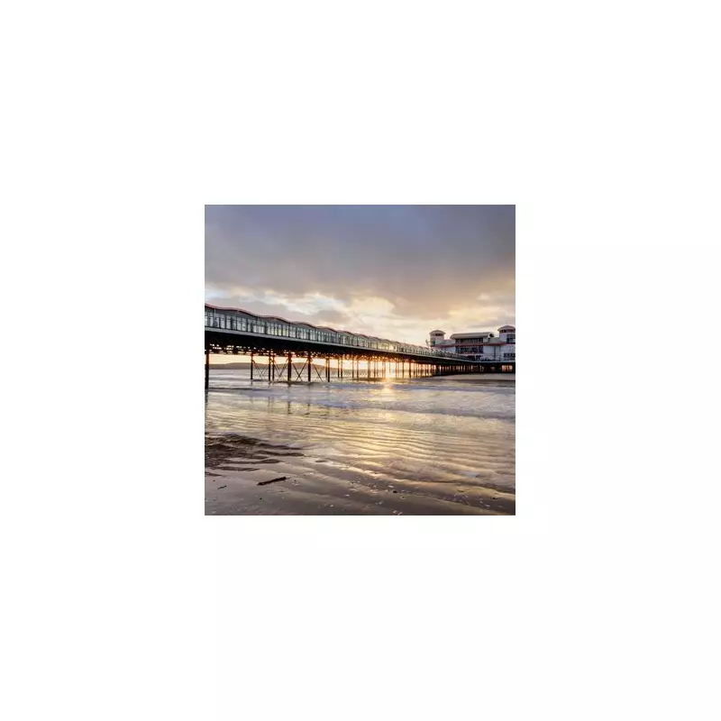 Seaside Town Overrun by Seagulls: Locals Demand Action as Birds Turn Aggressive